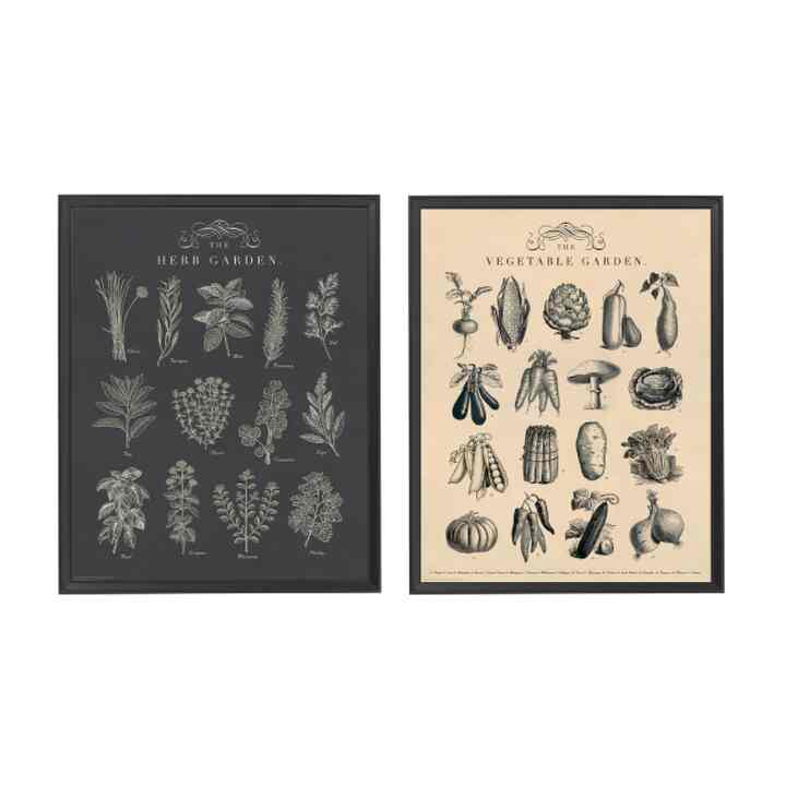 KNOPPÄNG クノッペング フレーム ポスター付き 2 ピース