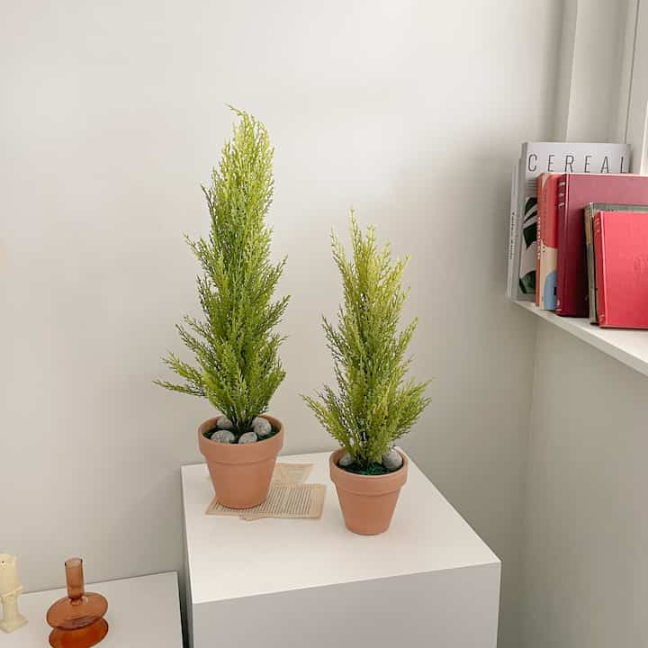 ゴールドクレスト フェイクグリーン 鉢付き［2サイズ］