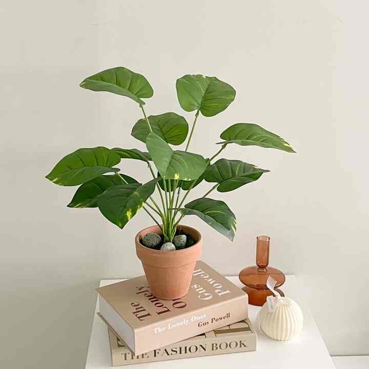 ミニ スキンダプサス 造花