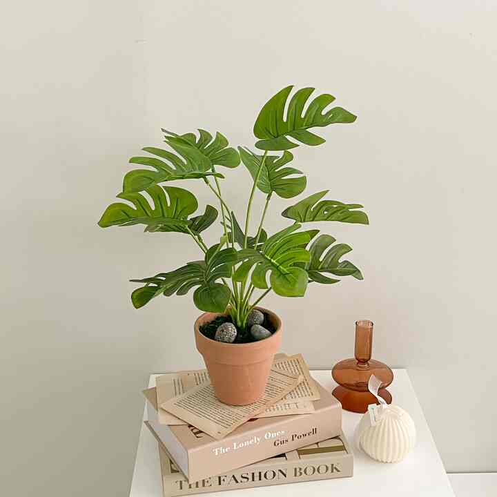 ミニ モンステラ 造花