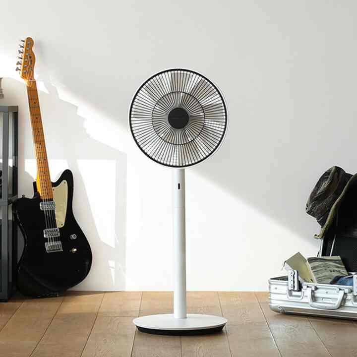 The Green Fan 扇風機