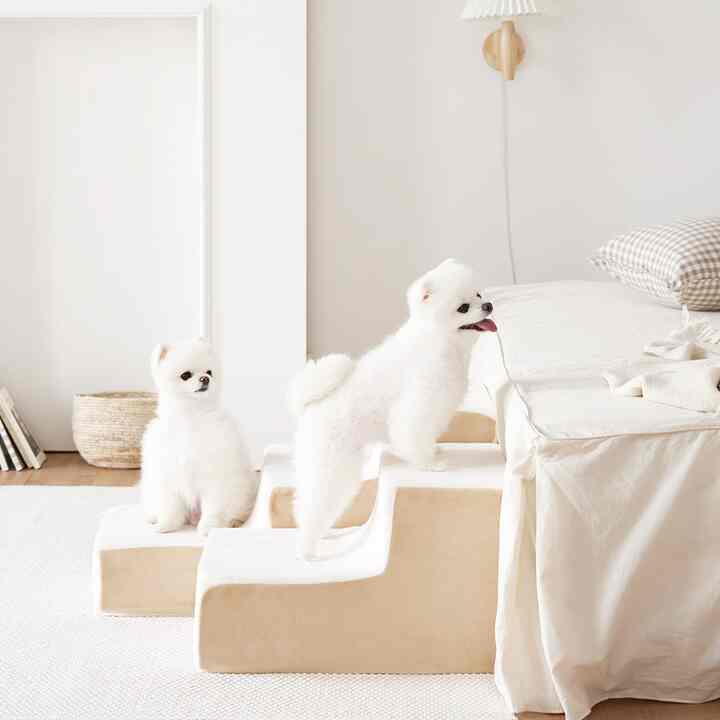 BASIC 2段 ステップ 階段［4色］