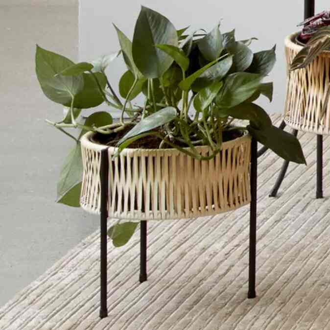 Umanoff Planter ウマノフ プランター