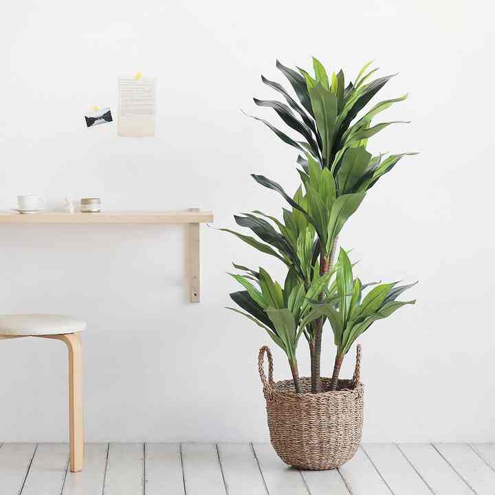 コンパクタ 人工観葉植物フェイクグリーン