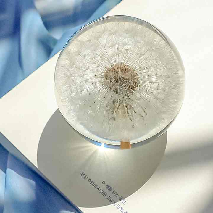 タンポポペーパーウェイト ７cm