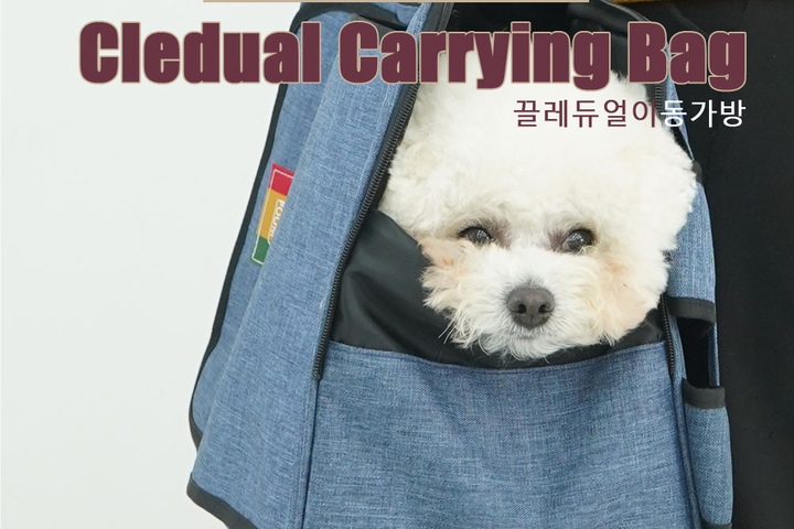 강아지 외출 > 끌레듀얼 이동가방 | 오늘의집 쇼핑 끌레듀얼 이동가방