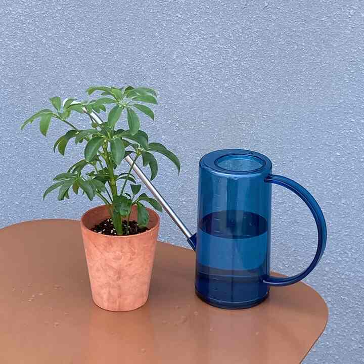 透明ジョウロ 1L 