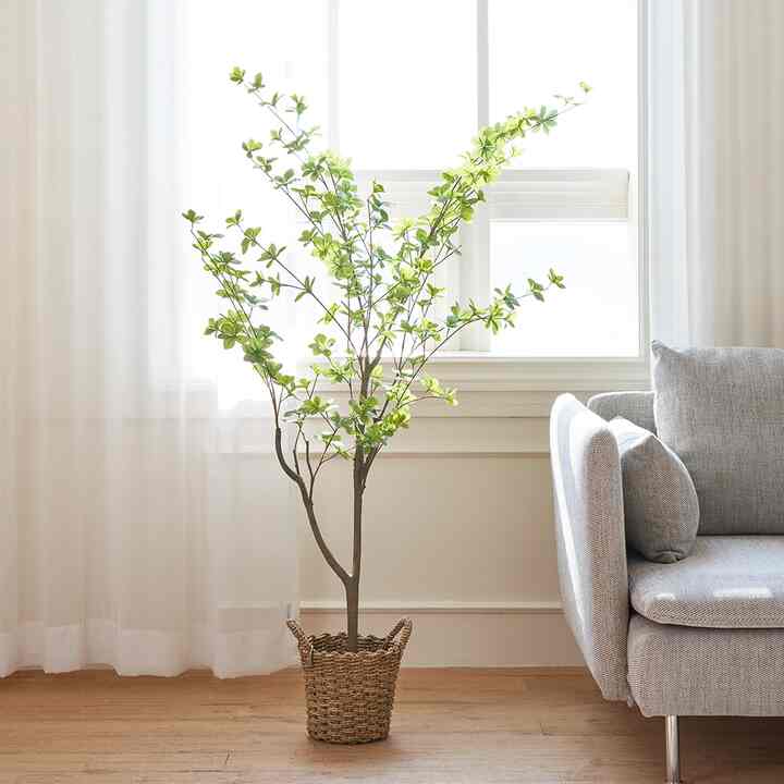 人工観葉植物 フェイクグリーン ドウダンツツジ