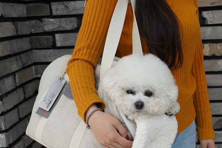 강아지 외출 > 몽네르 이동가방 | 오늘의집 쇼핑 몽네르 이동가방
