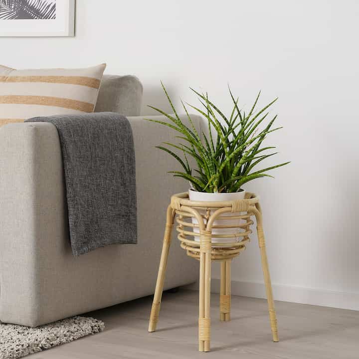 BUSKBO ブスクボー プラントスタンド, 籐