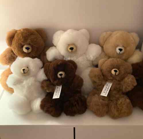 alpaca bear［3種］