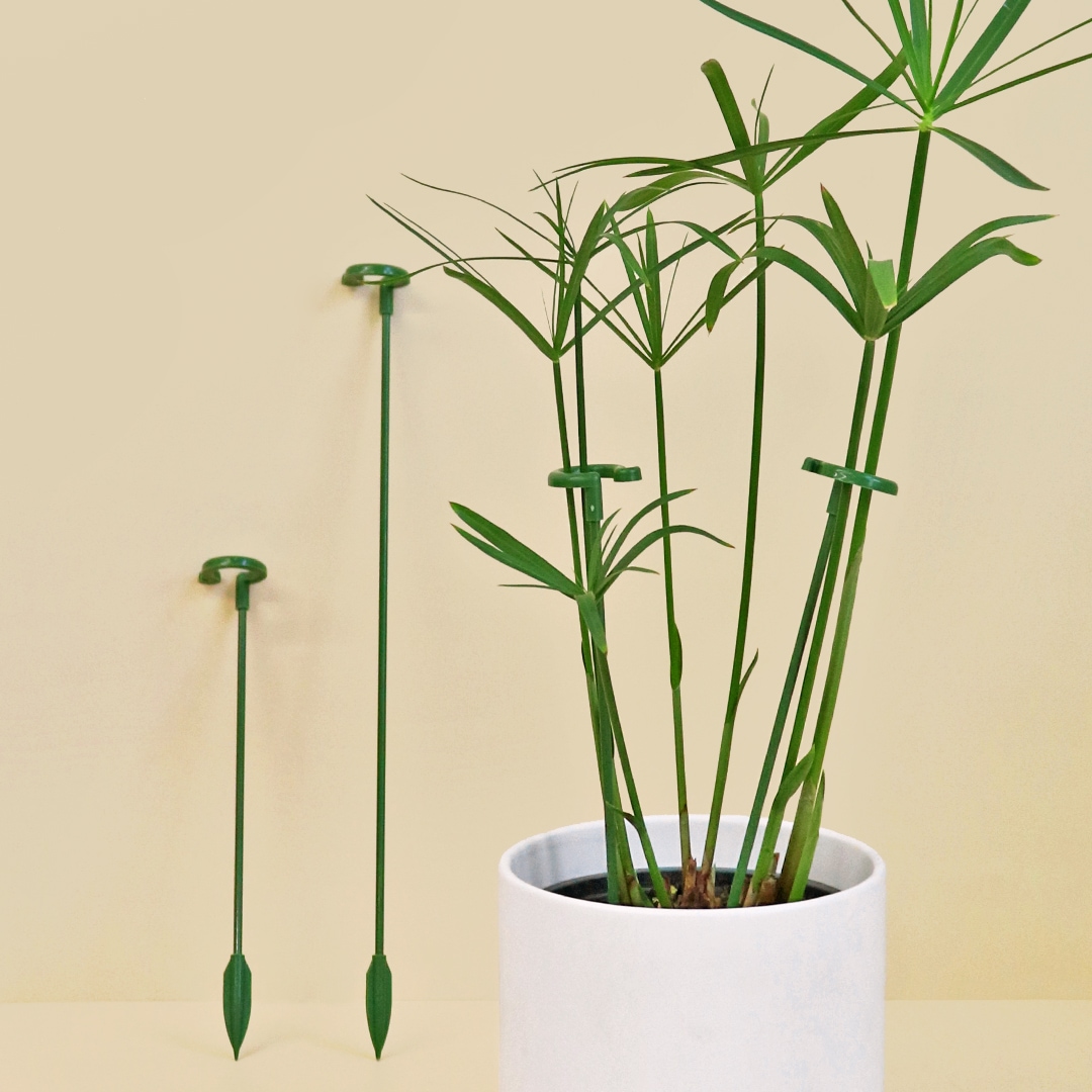 마이플랜트 식물지지대 오링 지지대 3size