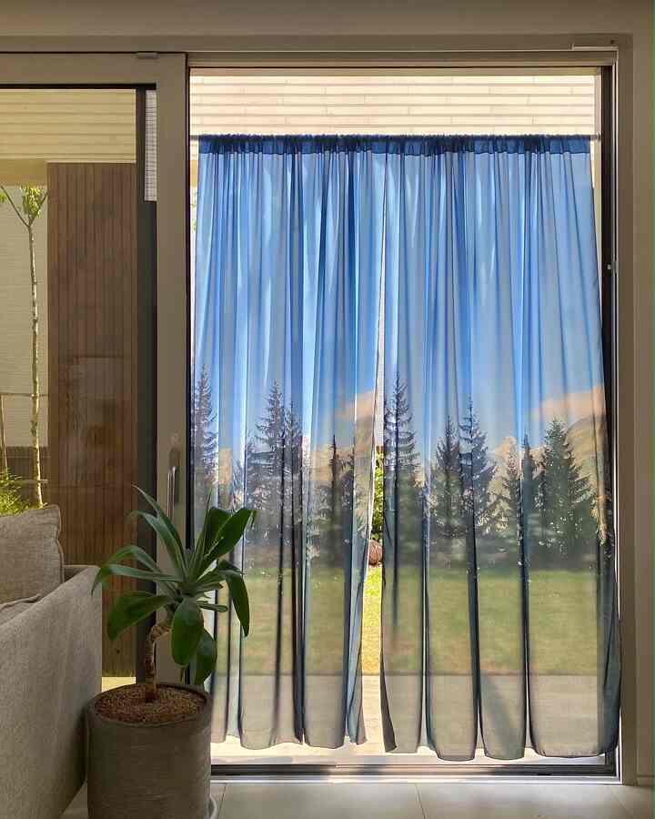 スイスの森 シフォン カーテン ポスター