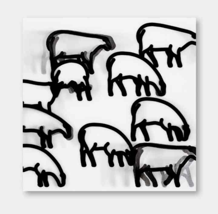 Nature レンチキュラーポストカード6枚セット