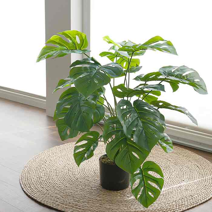 ボリューム・モンステラ ブラックポット 75cm 造花