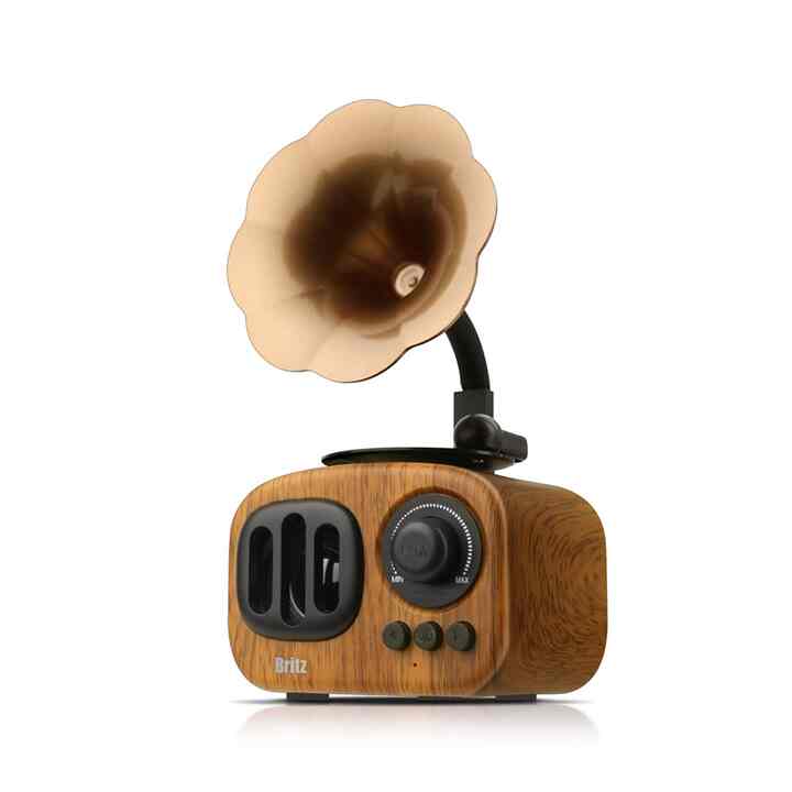 Bluetooth Wireless Speaker