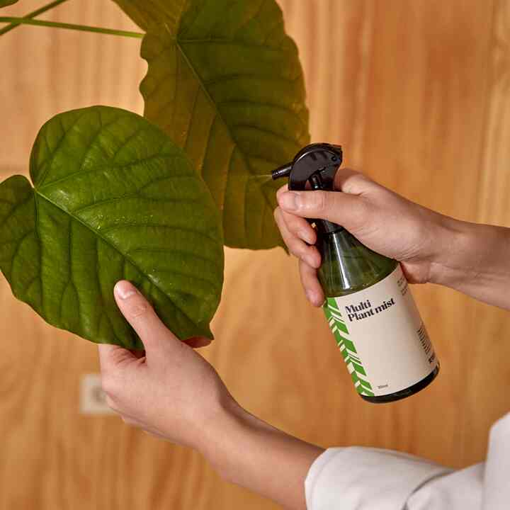 Multi プランツミスト
