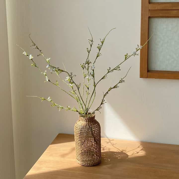 White Snow Willow Branches