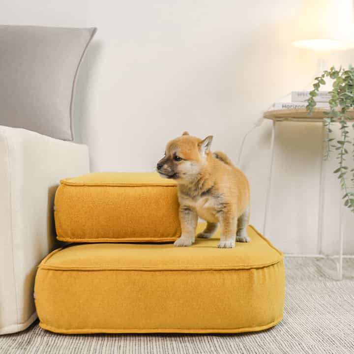 アクア PEBBLE ペットステップ［9色］