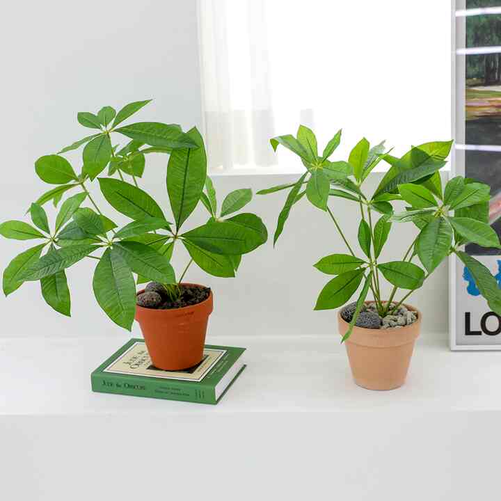 パキラ 造花［2色］