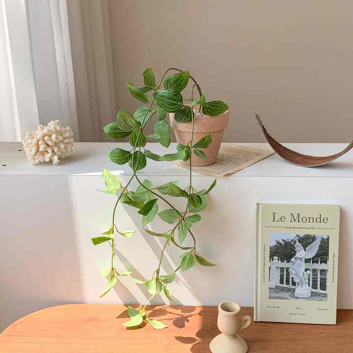 ホワイトライン アーモンドペッパー クレマチス フェイクグリーン＆植木鉢［2種］