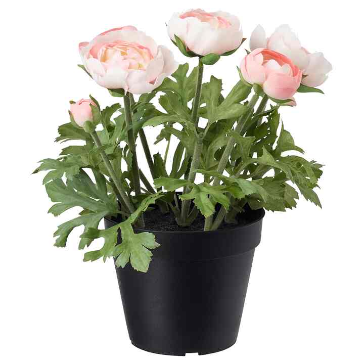 FEJKA, Tanaman tiruan dalam pot, ranunculus merah muda, 12 cm