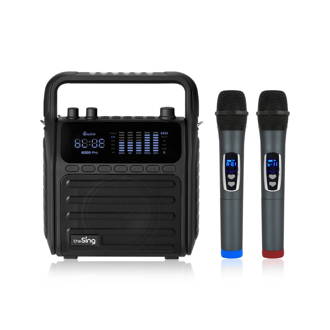 더씽 강의용마이크 무선 에코 조절 블루투스 마이크 더씽 M300-Pro