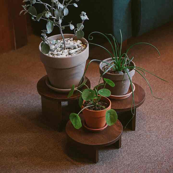 ウッド 円形 プラントスタンド［3サイズ］