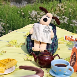 월레스와 그로밋 피크닉매트(Cracking Cheeze&Picnic Day)