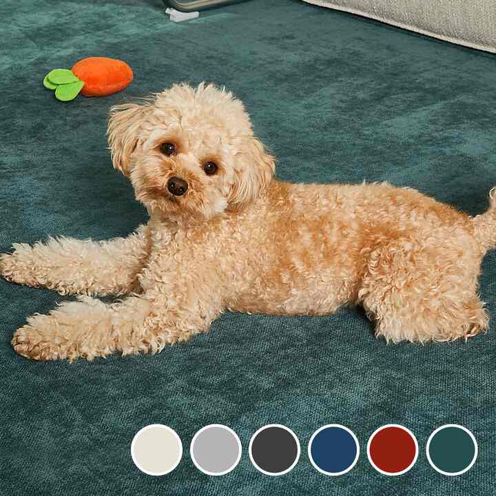 Downy 防水ラグ［6色・7サイズ］