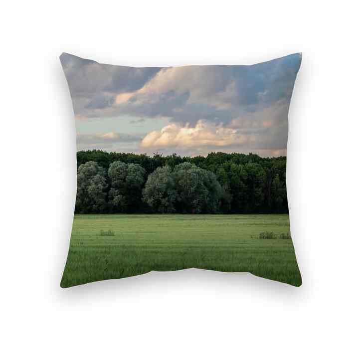Photo クッションカバー 19 GREEN FIELD