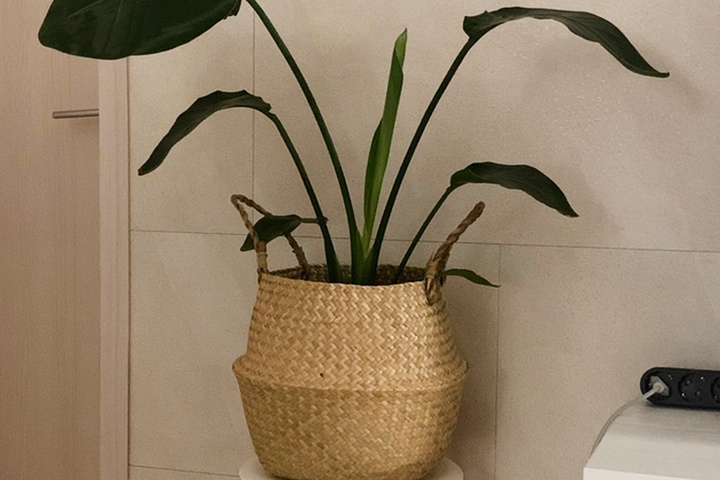 https://image.ohousecdn.com/i/bucketplace-v2-development/uploads/productions/165708945867389649.png?w=720&h=480&c=c