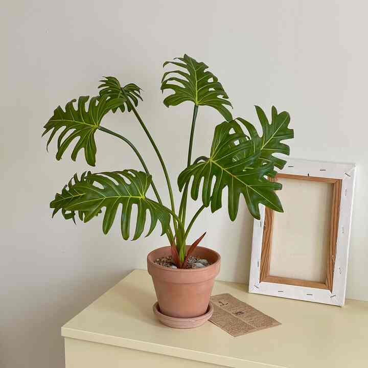 フィロデンドロン・セローム 造花＆植木鉢セット［2色］