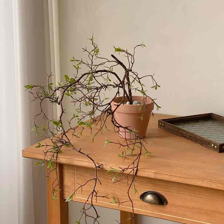 コロキア・コトネアスター 造花［2色］