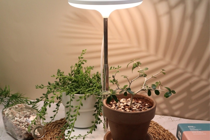 https://image.ohousecdn.com/i/bucketplace-v2-development/uploads/productions/165847582709879133.JPG?w=720&h=480&c=c