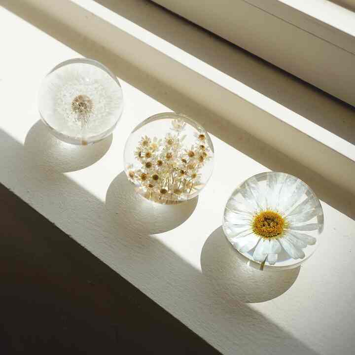 Flower ペーパーウェイト 7cm［3種］