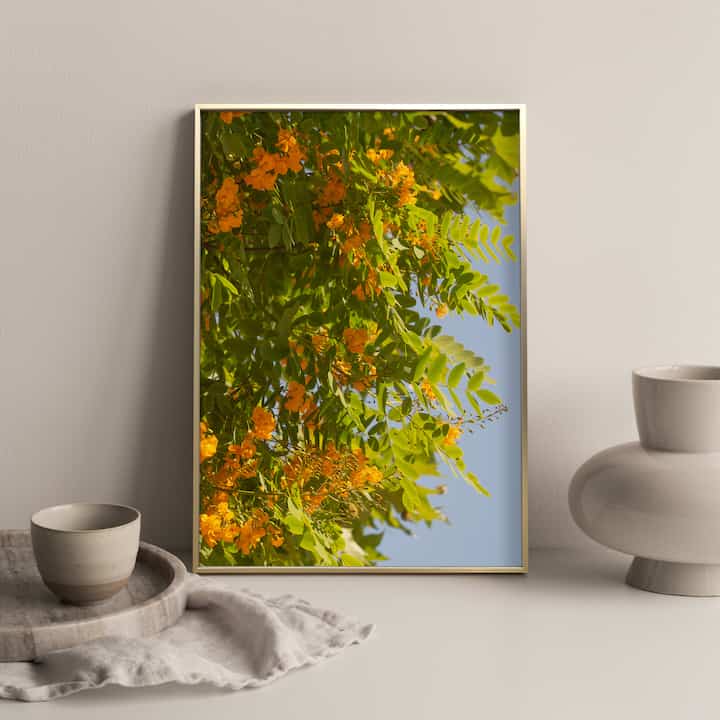  ポスター  152 One Fine Spring Day