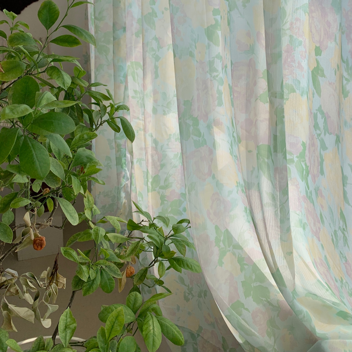 매니무드 water lily curtain 빈티지 플라워 민트 쉬폰 커튼