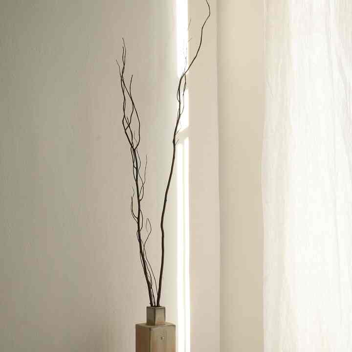 ドライ 雲竜柳［2サイズ］