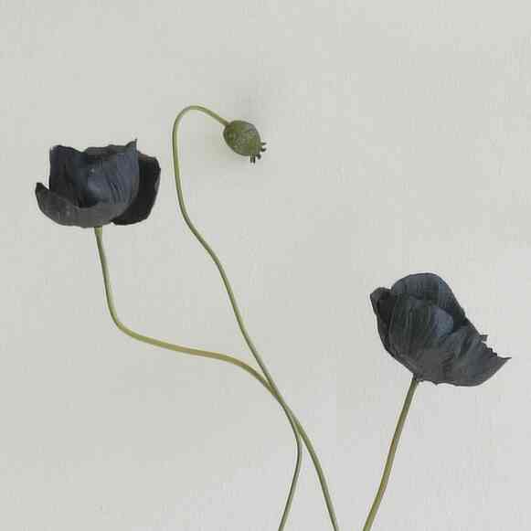 ブラック ケシ 造花