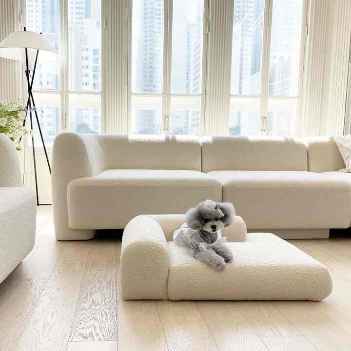 メモリーフォーム ペットベッド［3色］