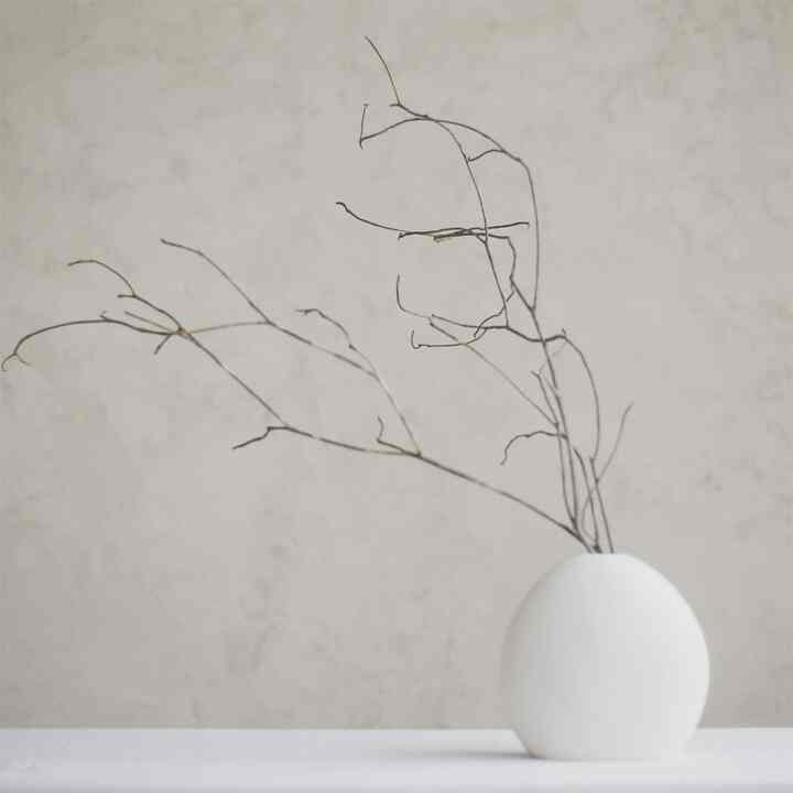 Rosebay 木の枝 天然オブジェ