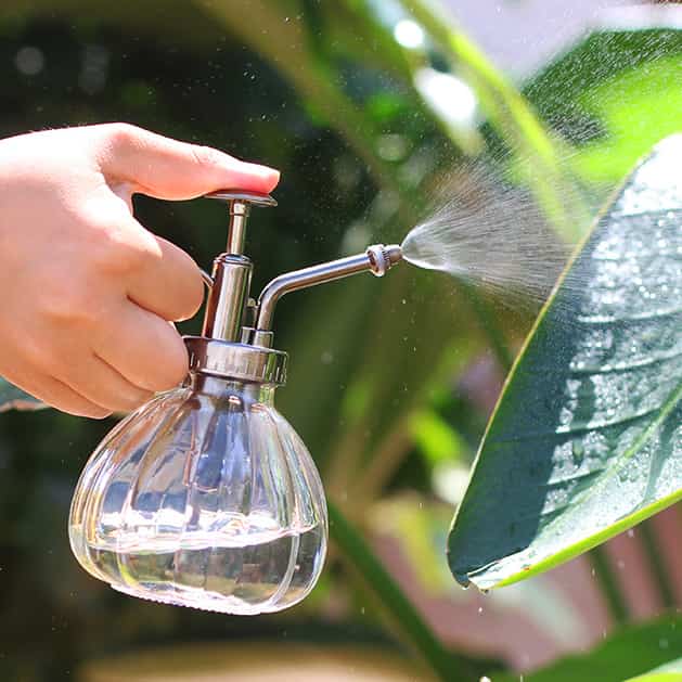 アンティーク スプレーボトル