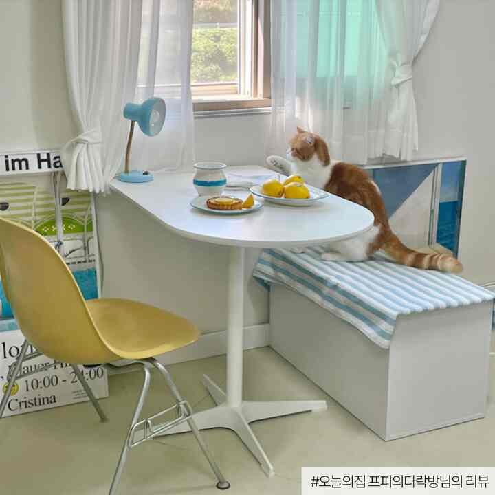 momo 半楕円 ダイニングテーブル［2サイズ］