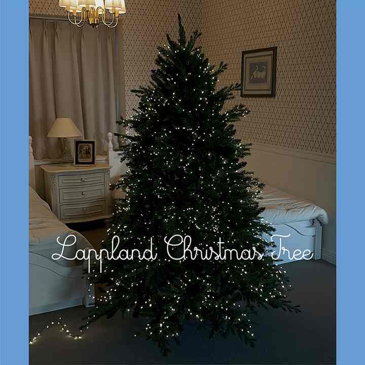 Lappland クリスマスツリー