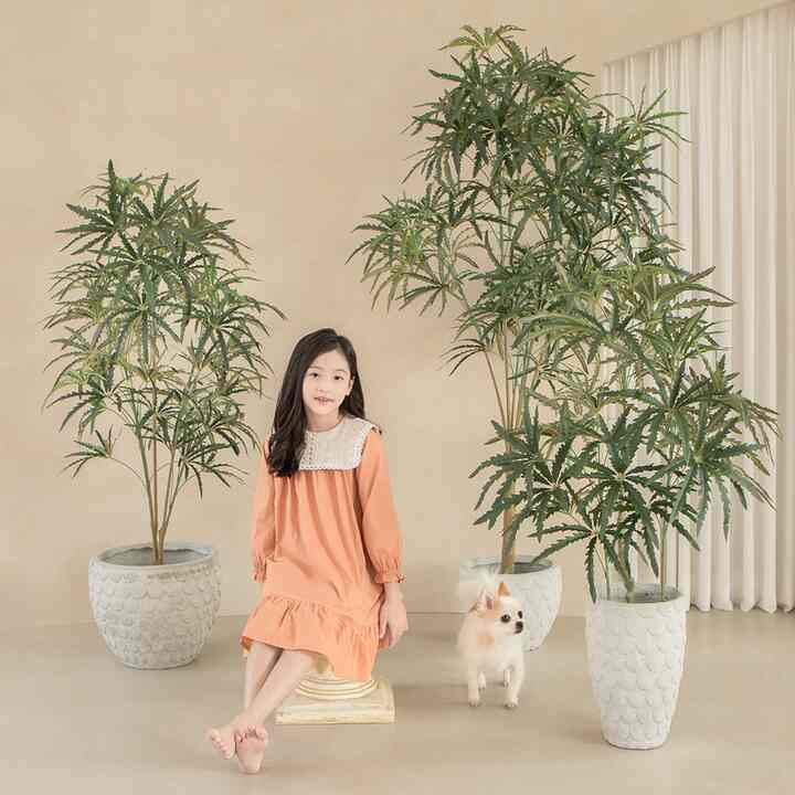 ハンドメイド アラリア フェイクプランツ［5サイズ］