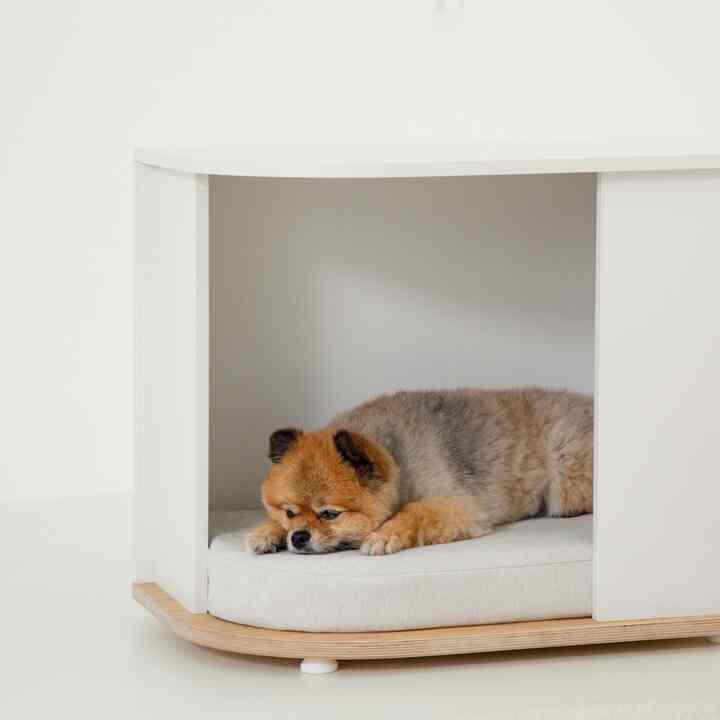 soom soom テーブルハウス フレーム＆クッションセット