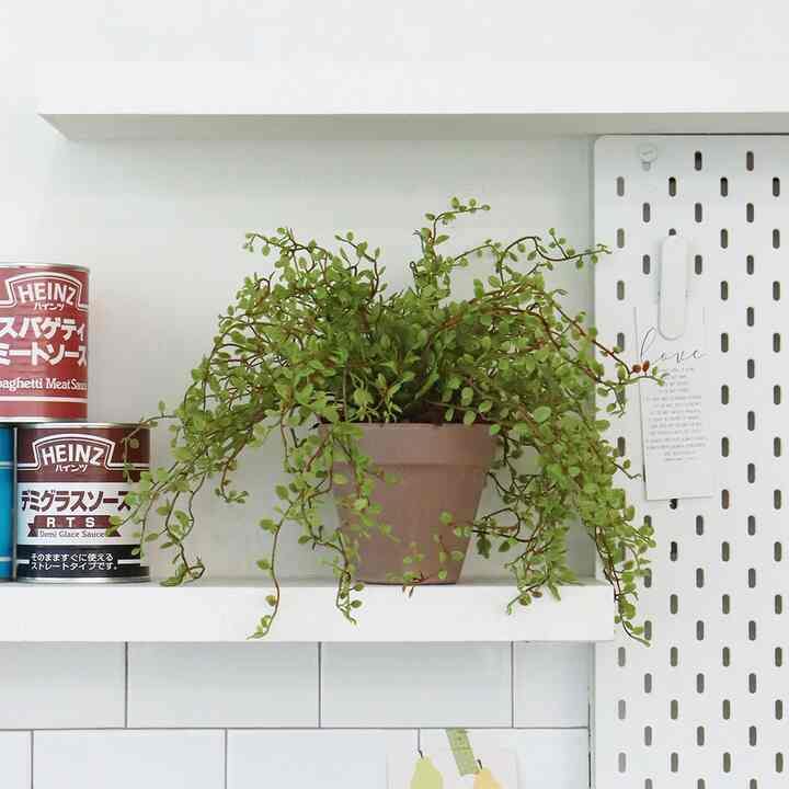 ハンキングプラント フェイクグリーン