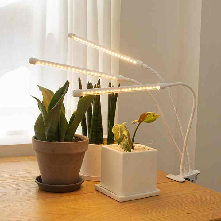 植物育成 LEDプランツライティング