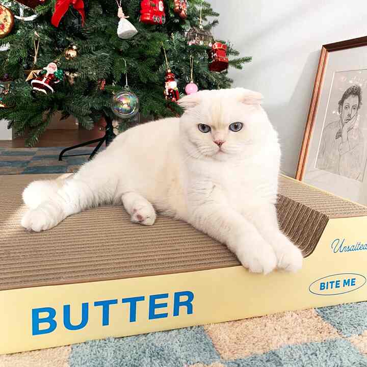BUTTER スクラッチ 爪とぎ 